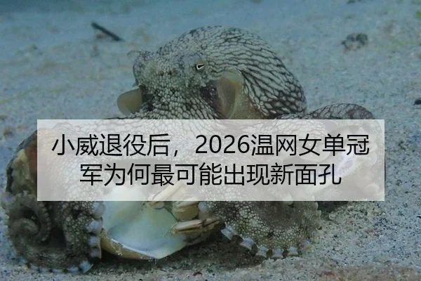 小威退役后，2026温网女单冠军为何最可能出现新面孔